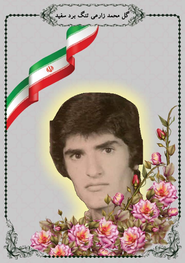فاقد تصویر